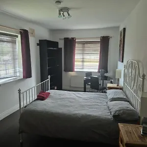 Comfortable Double Beside Tramline Homestay *